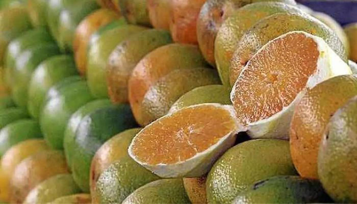© Governo Sergipe/Divulgação Exceções do tarifaço representam 43,4% do valor exportado aos EUA